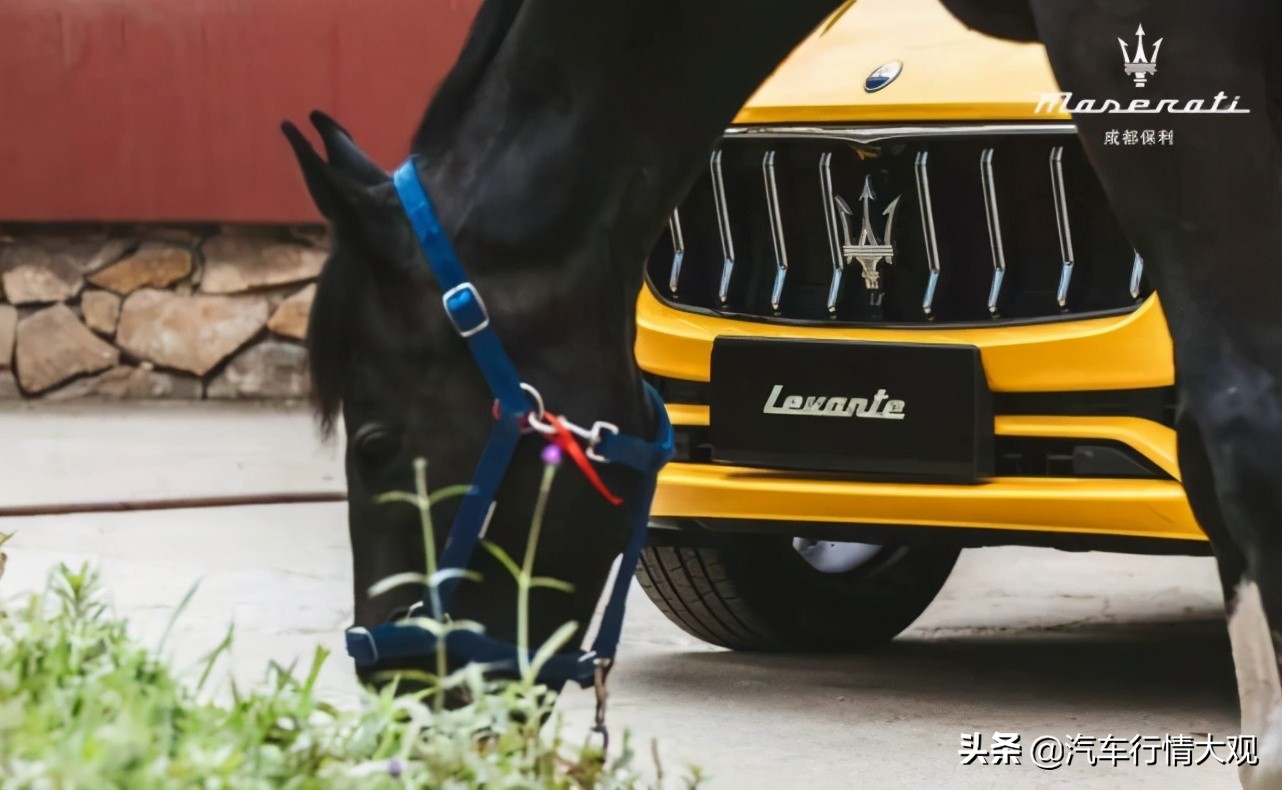 生而*界无**FUN肆趣浪|成都保利玛莎拉蒂邂逅激情夏日