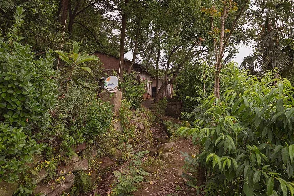 渝北枇杷正黄，冒冒失失穿越铁壁、胜保、斗碗三寨