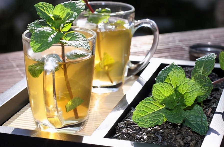 夏天解暑降火茶配方有哪些,夏季清热降火茶推荐喝什么