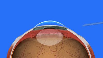 利润暴增10倍,利润暴增3倍