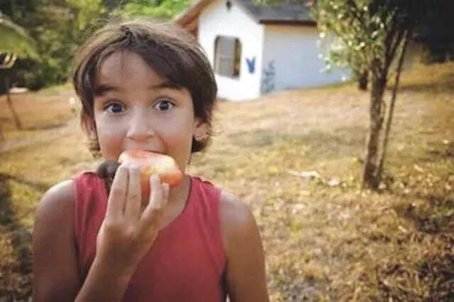 腰果科普知识,腰果哪部分有毒