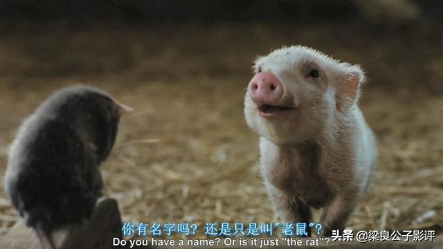 关于夏洛特的电影,夏洛特的网国语电影完整版