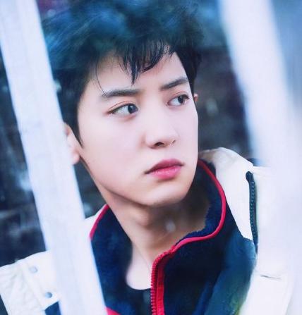 发腮比发福还可怕下一句,发腮和变胖的区别