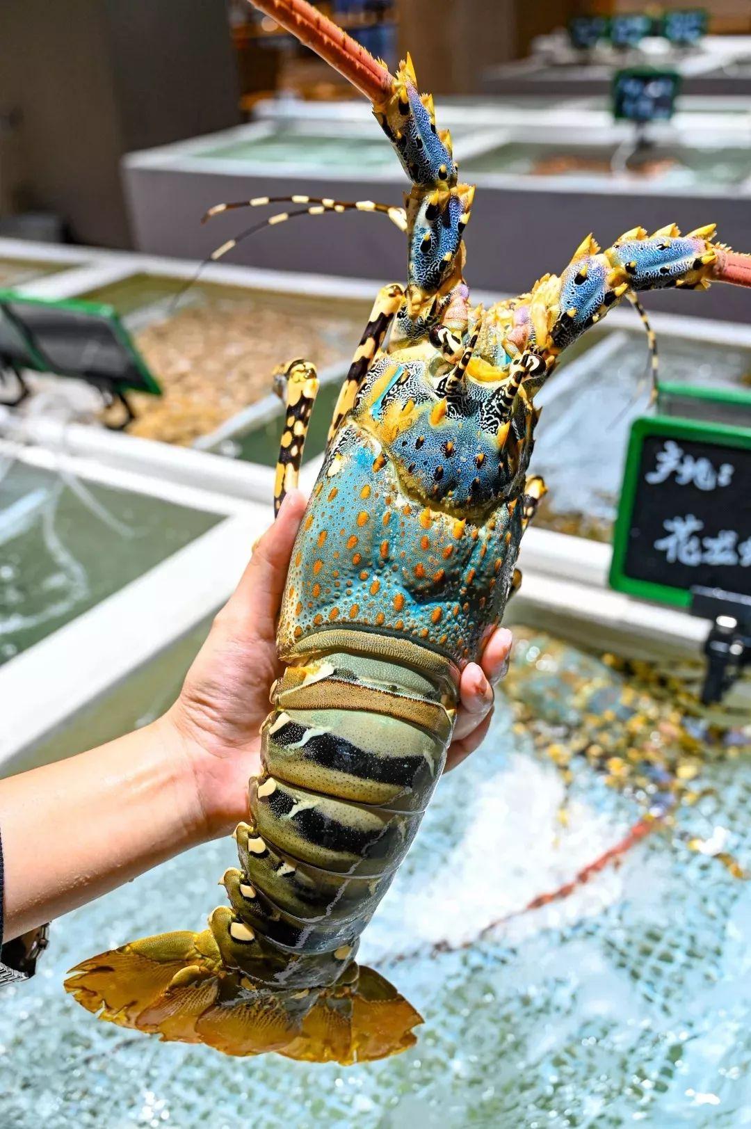 4000m²「平价海鲜」，还藏了个老广早茶，鸡煲、羊肉、虾蟹