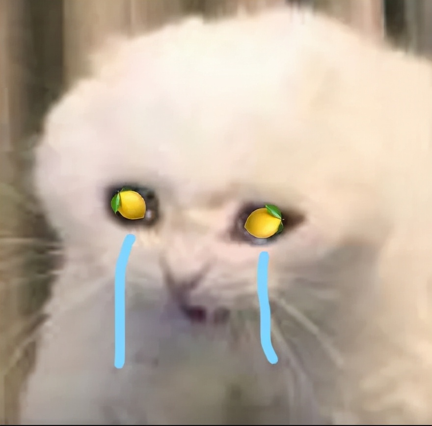 为什么治牙这么贵,为什么看牙病贵