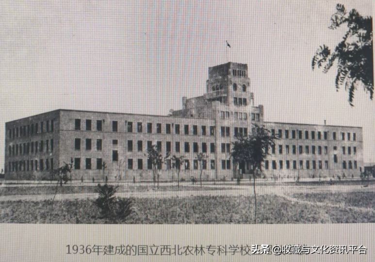 解放西北铜制纪念章,93年全国运动会纪念章