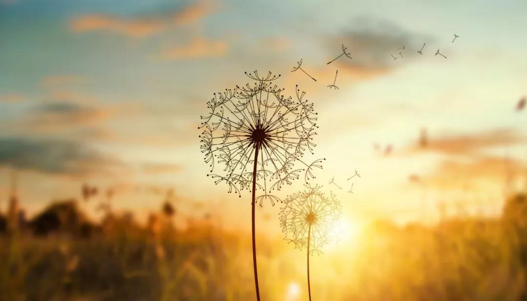 文言文翻译方法准则,文言文解译技巧