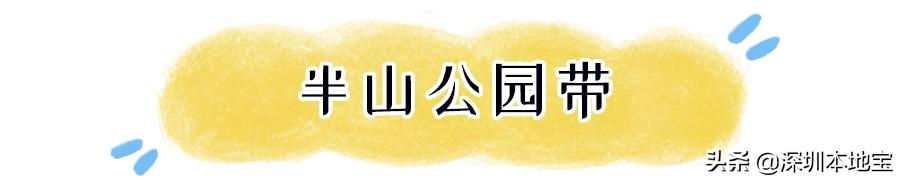 深圳市盐田区综合发展规划,深圳改革开放40周年盐田发展规划