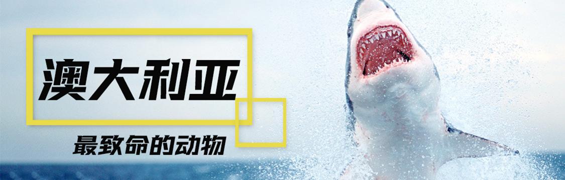 西瓜视频动物世界纪录片,动物园100种常见动物纪录片