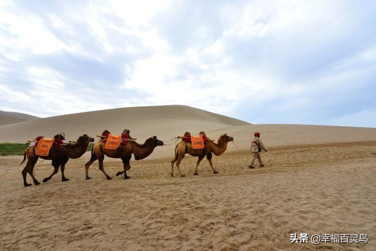 有了这攻略，自驾*藏西**游省心很多