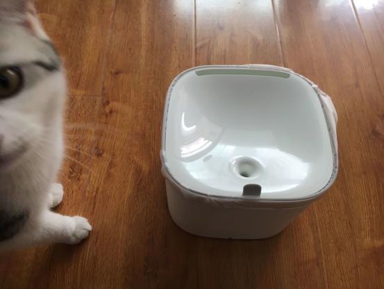 小顽饮水机质量怎么样,小熊小型饮水机测评