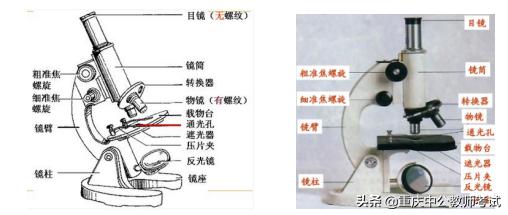 显微镜知识梳理框架,显微镜的知识500字