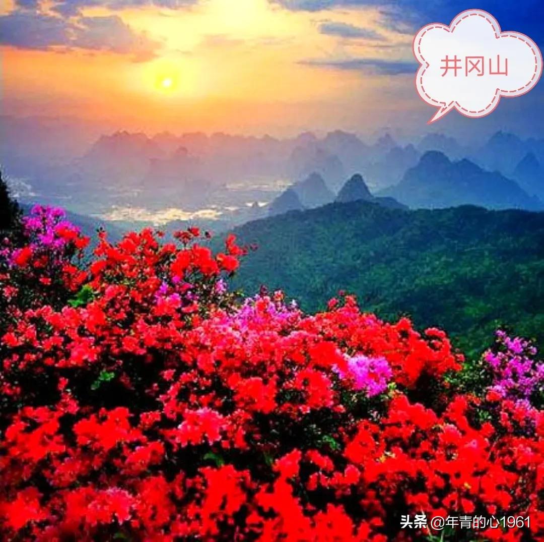 江西大觉山风景名胜区,江西九宫山风景名胜区