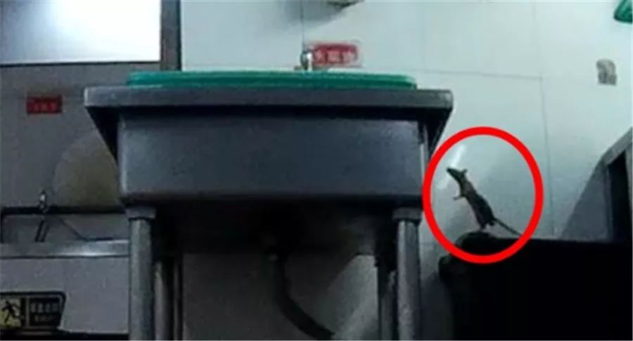 全家买到了过期食品,买到过期食品孩子吃了怎么办