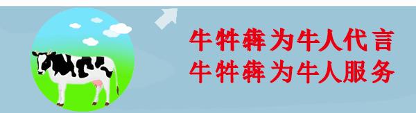 奶牛产后怎么保健,奶牛产后怎么预防疾病