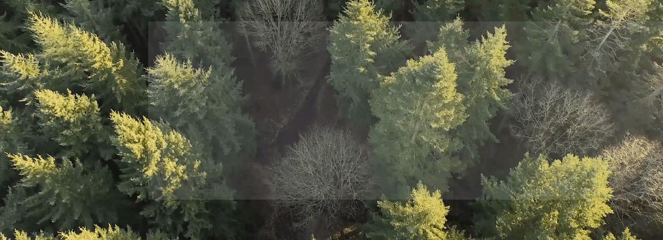 微信公众号文章封面制作软件,微信公众号封面图片设计的小技巧