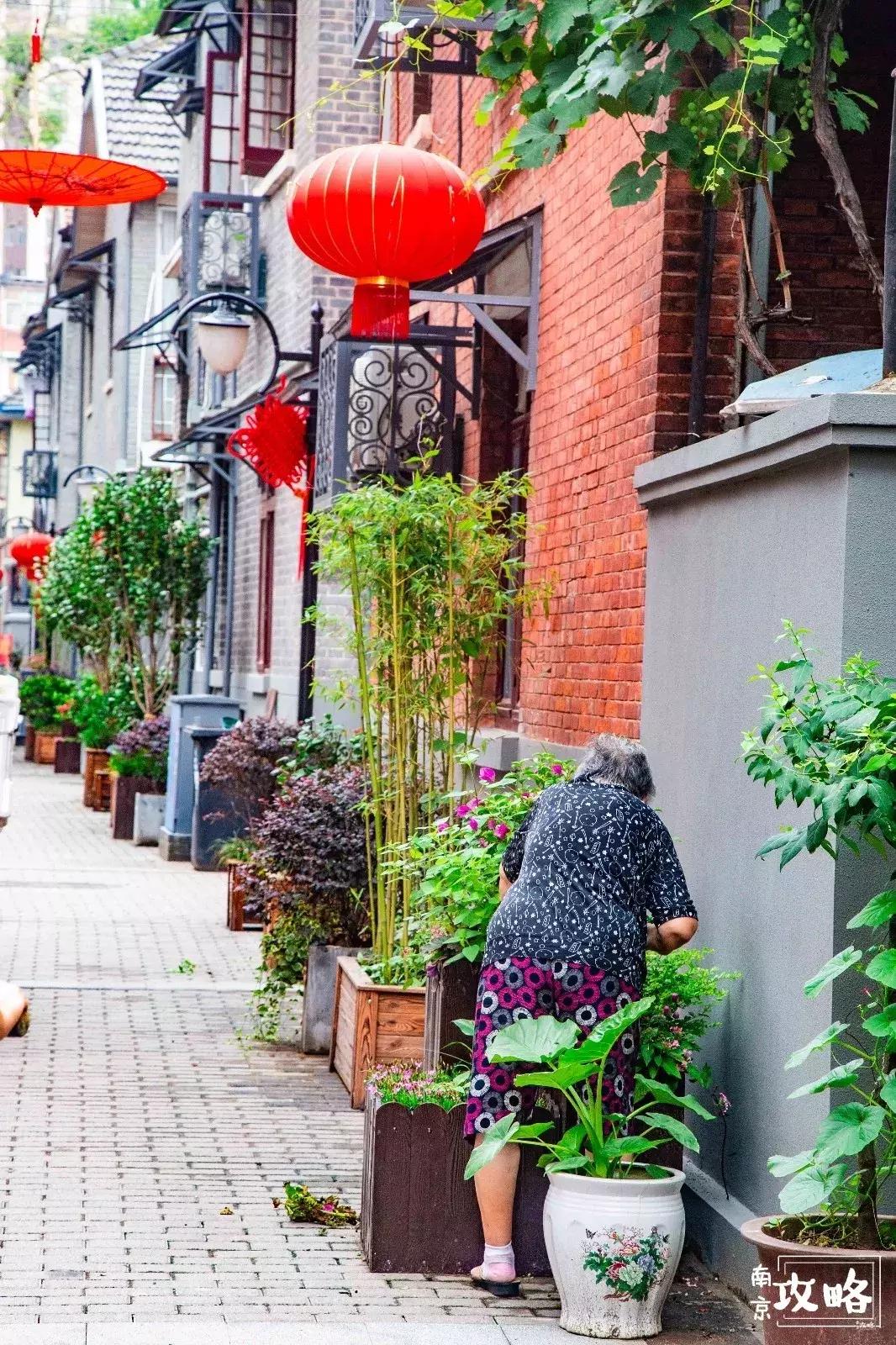 慧园里，南京城中，时光交错的角落