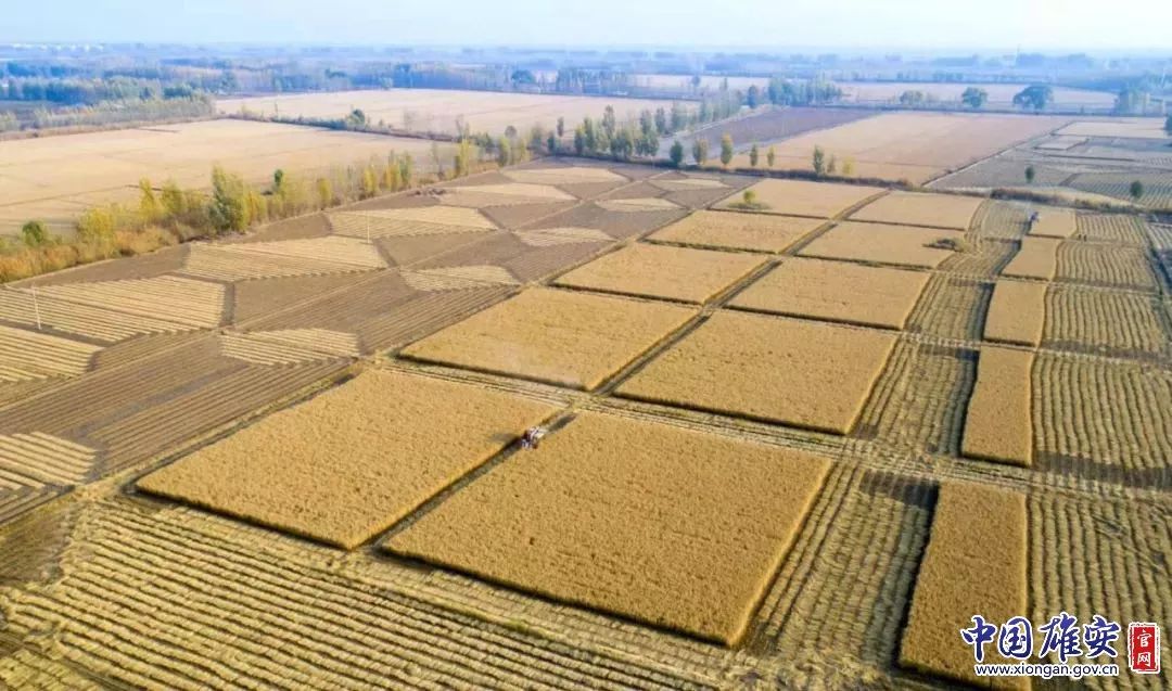 雄安风景好的地方,雄安新区必去十大景点