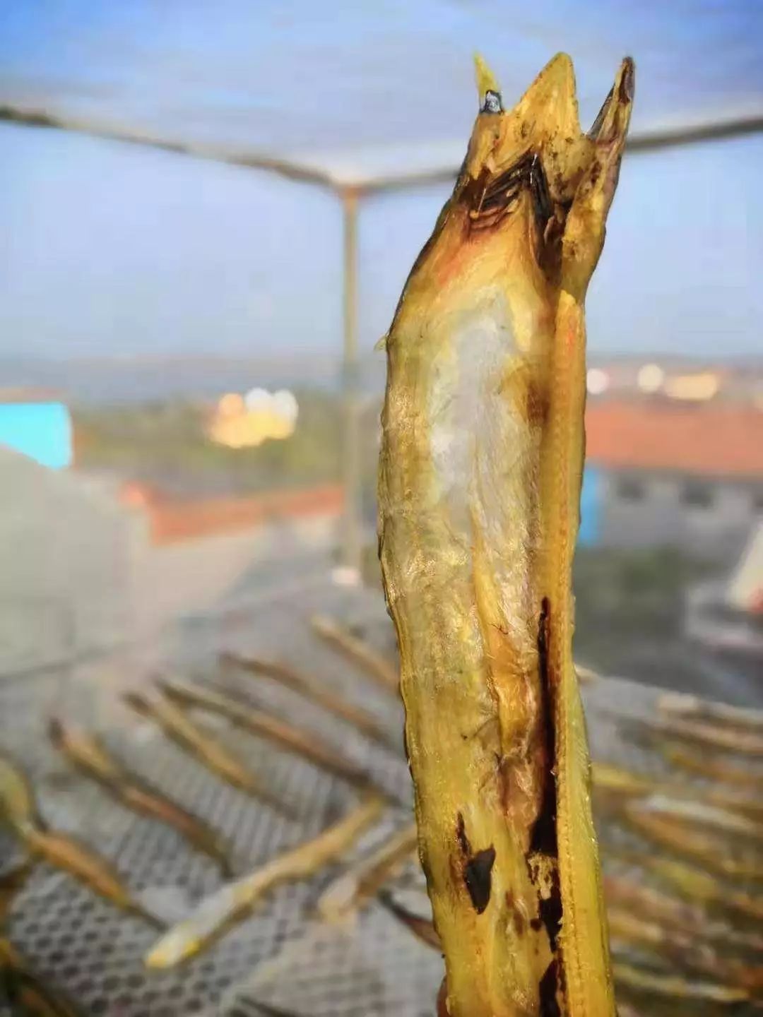 海鲜加工青岛什么鱼清蒸好吃,晒干日照海鲜正宗做法