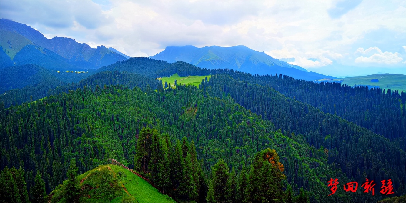 梦回新疆梦回拉萨,梦回伊宁草原视频