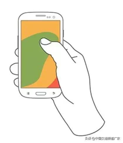 猪兼强驾校处理结果,猪兼强驾校最新消息