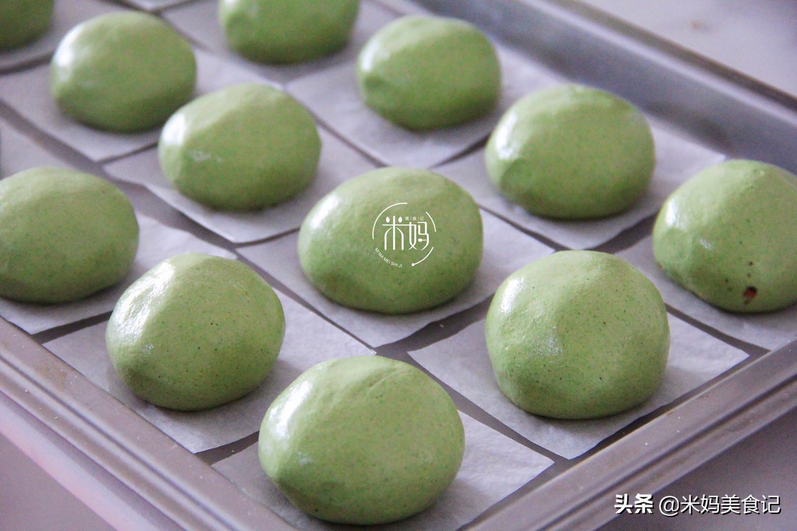 清明节前后有什么野菜可以吃,清明吃的野菜大全