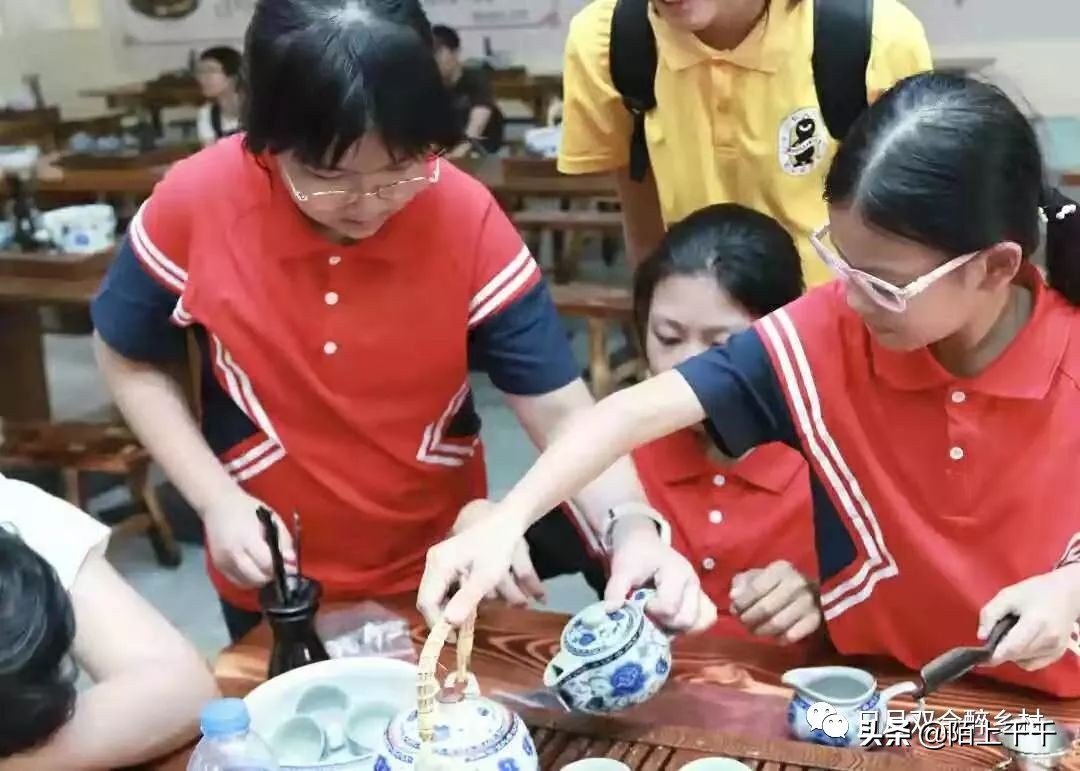 鹤山双好茶韵农耕研学基地值不值,江门茶文化研学基地