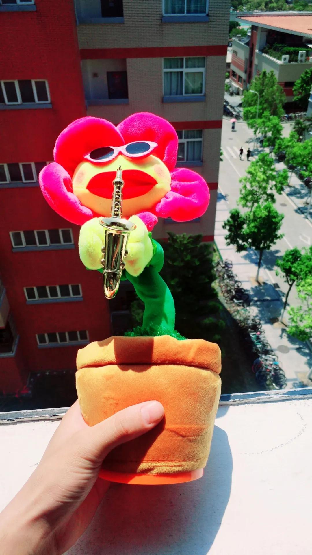 和宠物交流说什么,宠物谈恋爱怎么回事