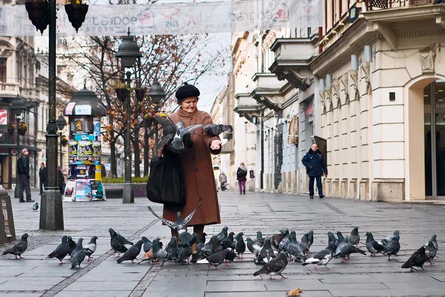 塞尔维亚是说英语的国家吗,塞尔维亚是什么样