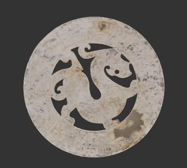 ​龙界大长腿：你见过长得像山东细犬的龙吗？