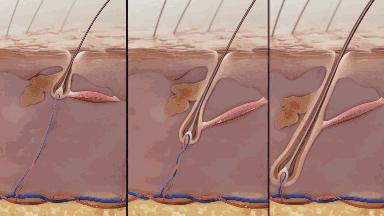 沙宣“退位让贤”,护发届翘楚“阿玛尼”上线,网友:良心洗发水