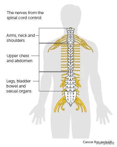 容易让人变丑的10个姿势,你最喜欢的站姿