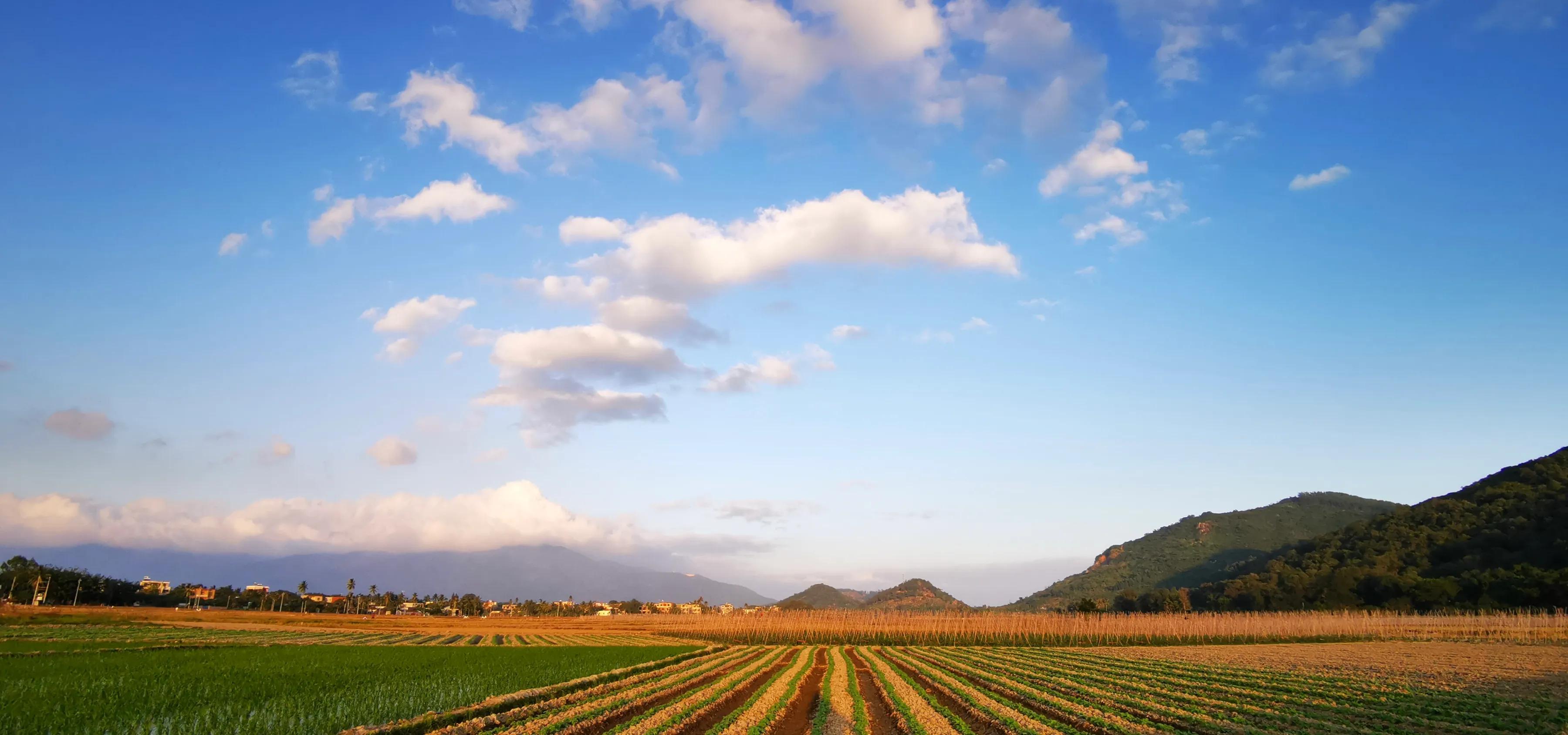 手拍世界（手机摄影平台）-群员作品集（总第671期）