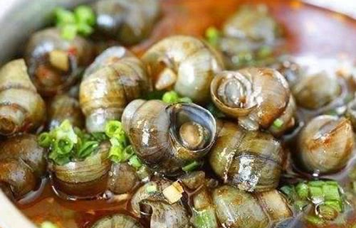 炒田螺要不要先“焯水”？很多人弄错了，难怪田螺腥味重不嫩不鲜