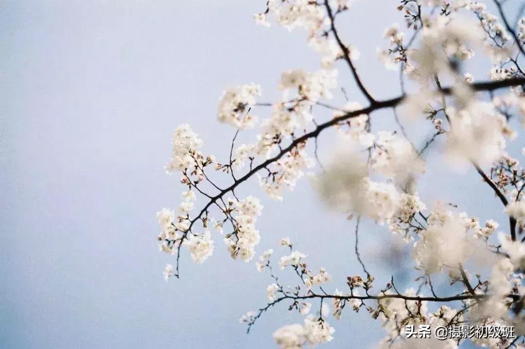 摄影方法摄影技巧大揭秘,摄影大师总结10条摄影秘诀