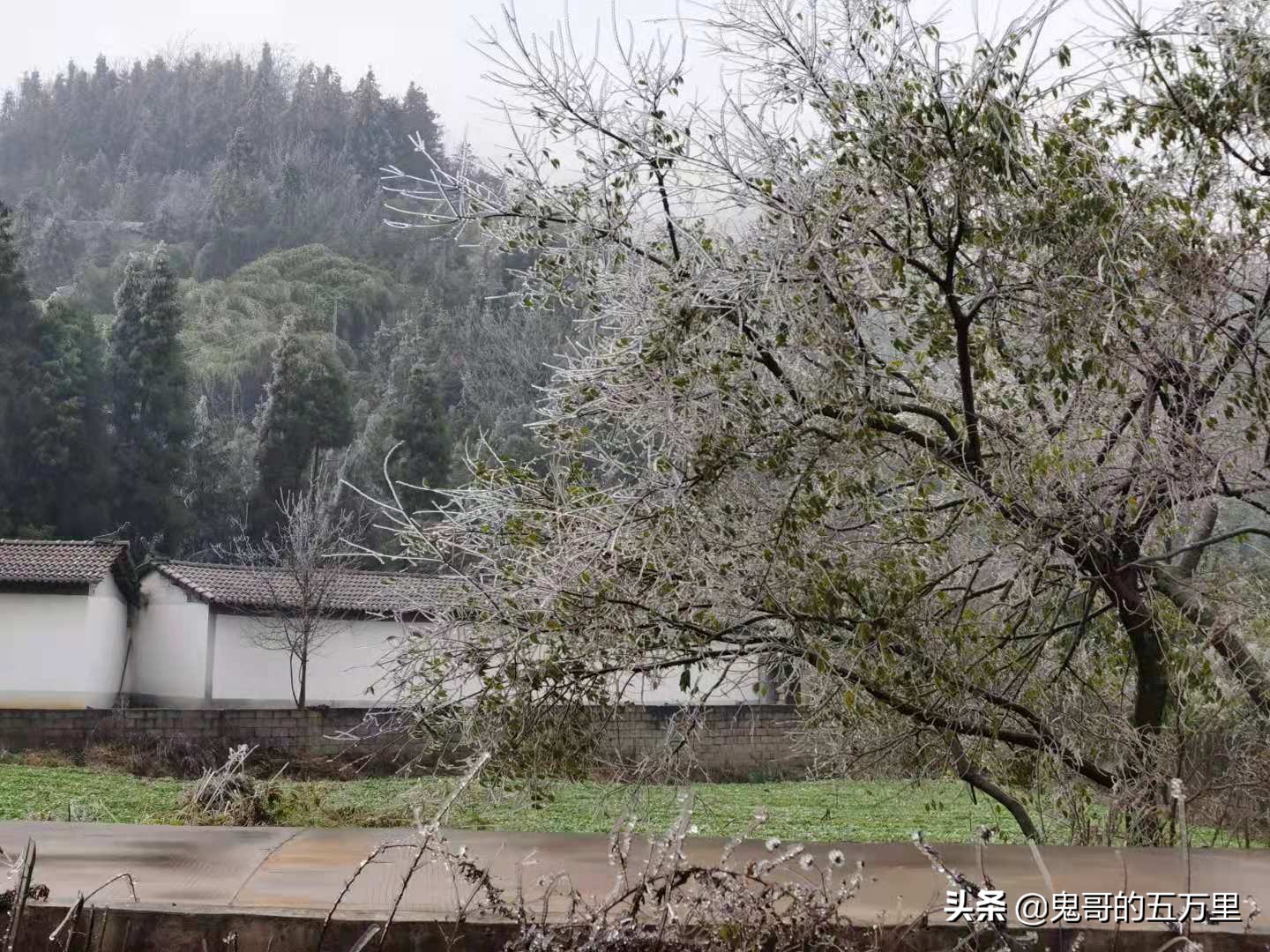 鬼哥的五万里D118骑记：云南，未来可期,泸西县-罗平县