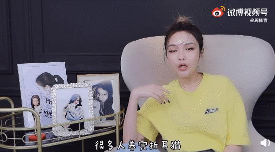周扬青养的什么狗,周扬青呼吁不养折耳猫