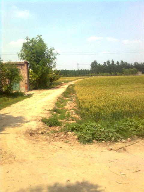 为故乡写魂,农民工为故乡招魂