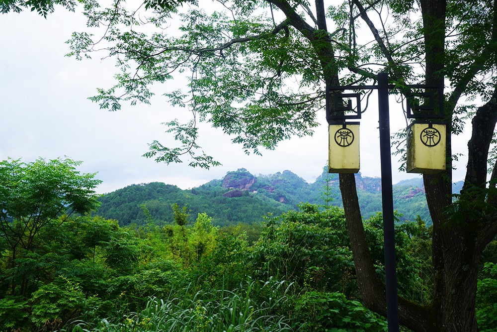 武夷山千禧嘉元酒店,武夷山新晋豪华酒店