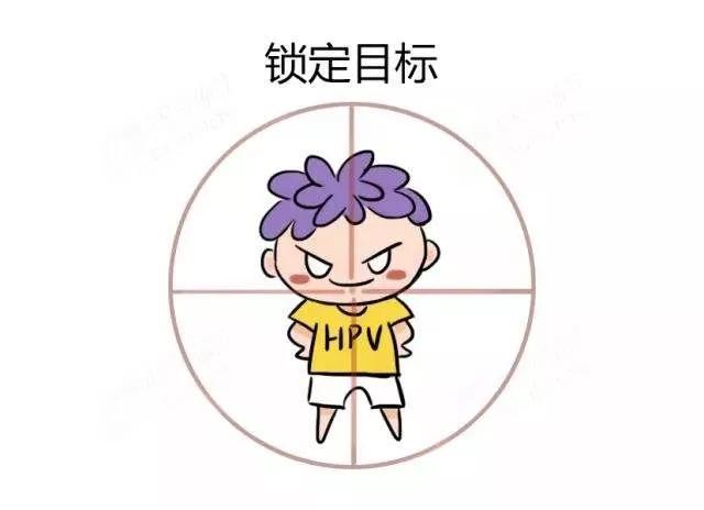 承德市宫颈癌筛查网上预约,河北承德做hpv和ctc检查要多少钱
