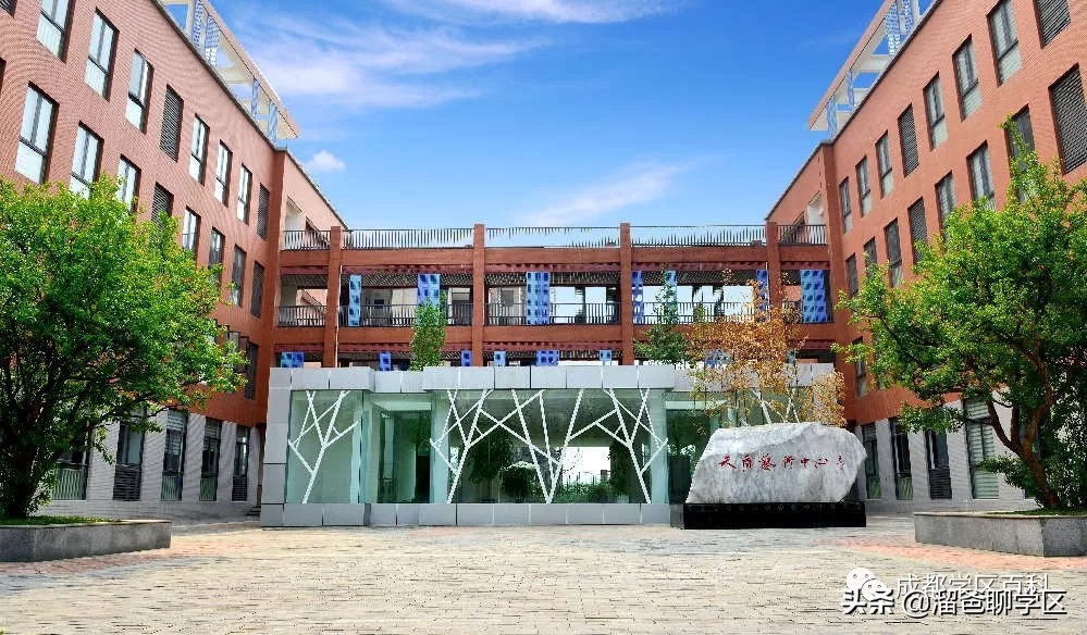 名校巡礼之泡桐树小学天府校区,名校巡礼