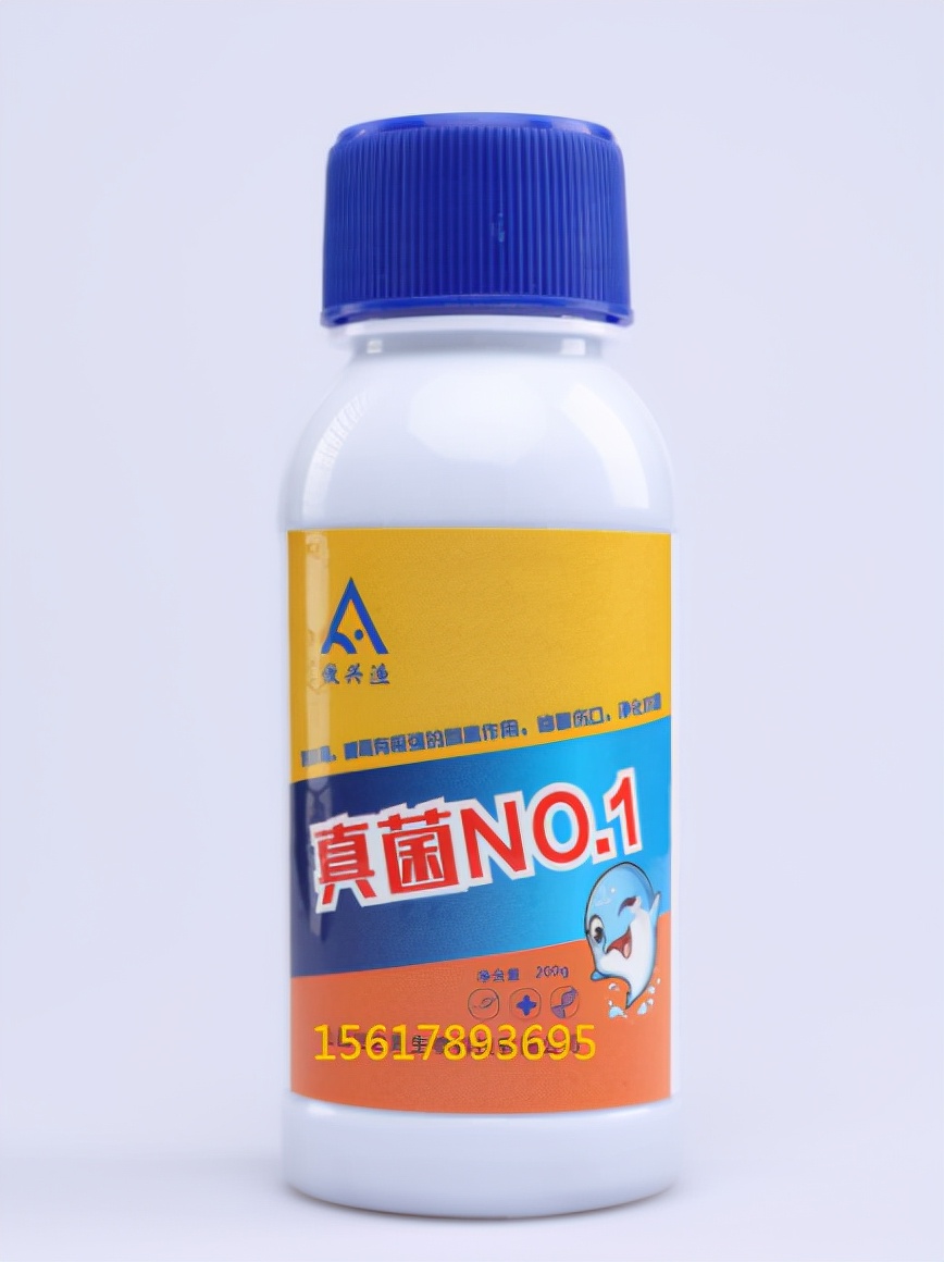 黄颡鱼现在鱼病怎样,养殖黄颡鱼怎样了解黄颡鱼得病呢