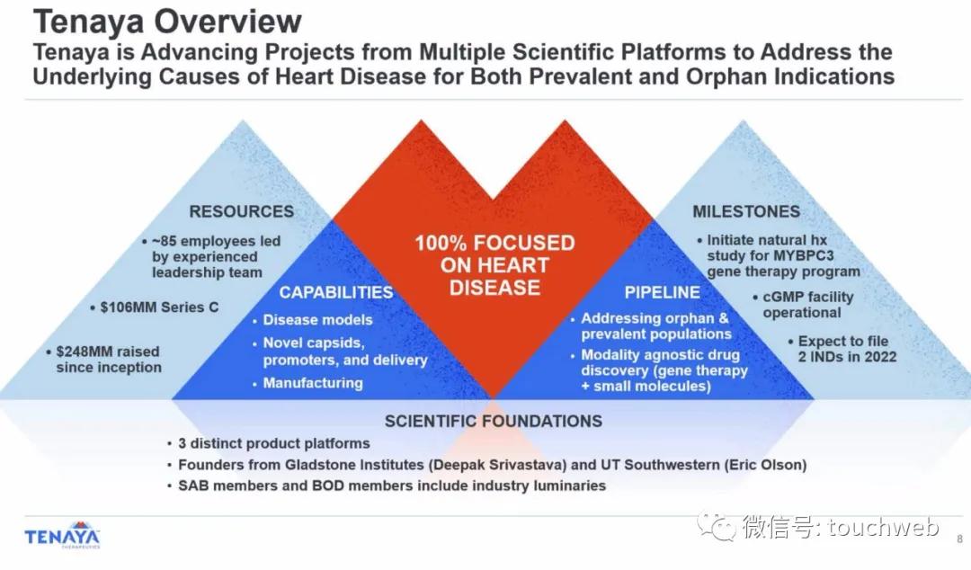 基因疗法相关上市公司,tenaris公司