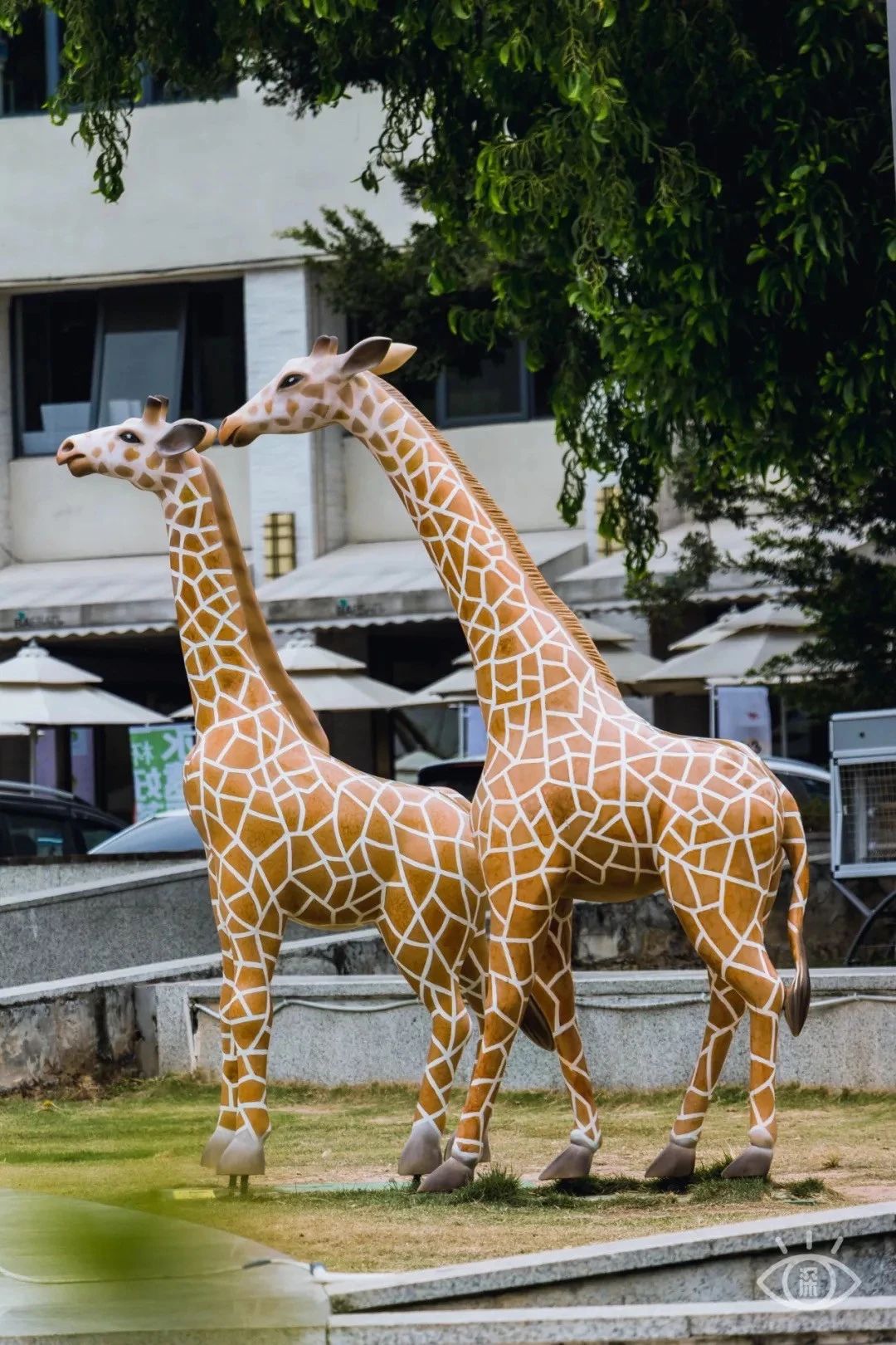 深圳夜晚小众打卡地景点,深圳十个小众打卡地