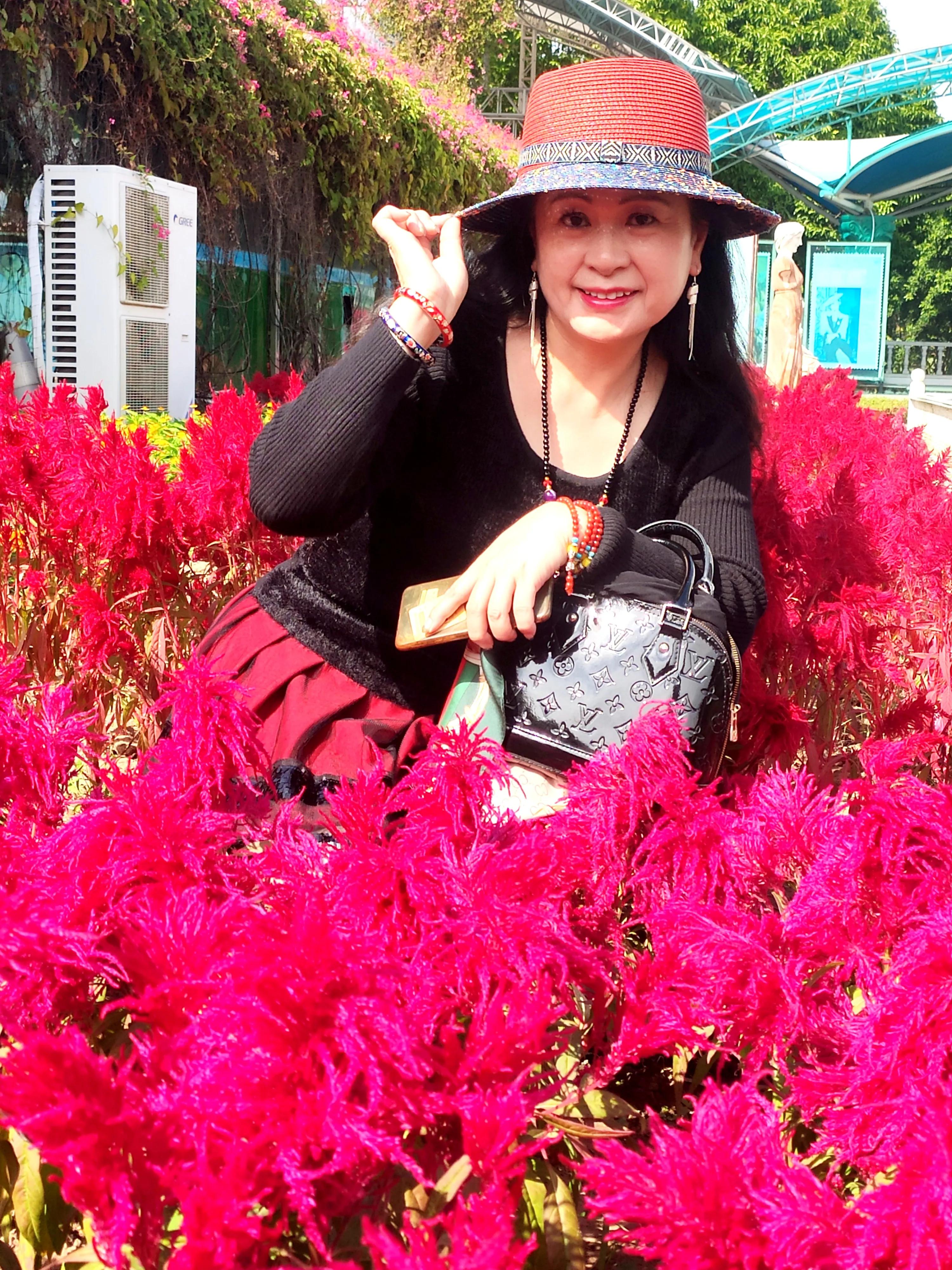 广州番禺百万葵园,广州百万葵园最佳观赏期