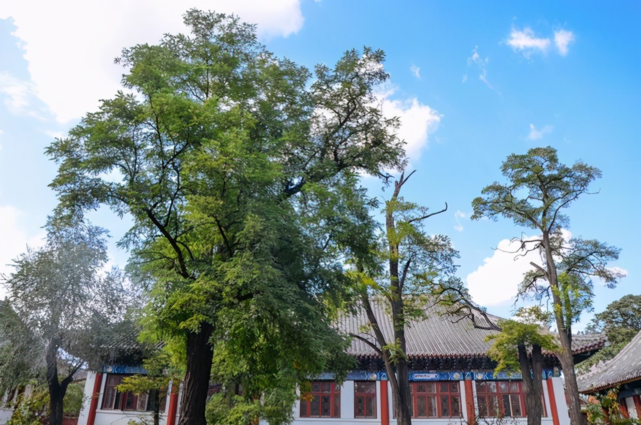 家长带孩子去北大孩子需要预约吗,家长带孩子去北京必去地方