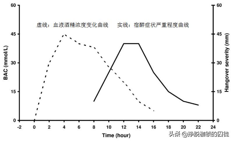 酒喝多了几天才能完全恢复,喝多了酒第二天怎么快速恢复