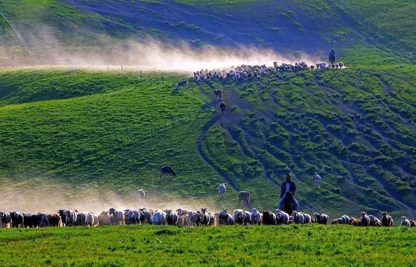 自驾游独库房车营地,自驾房车北方游