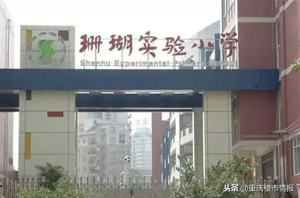 茶园未来发展值得入手吗,重庆茶园发展未来走势