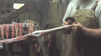 内蒙哪个城市有皮草,皮草之都内蒙